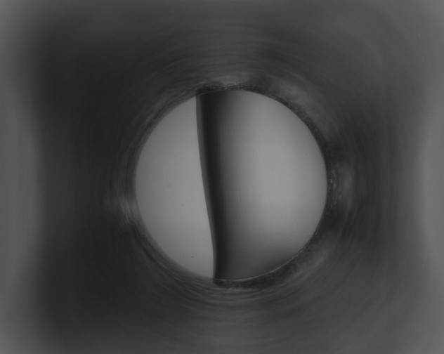 X0000100950212200806241129