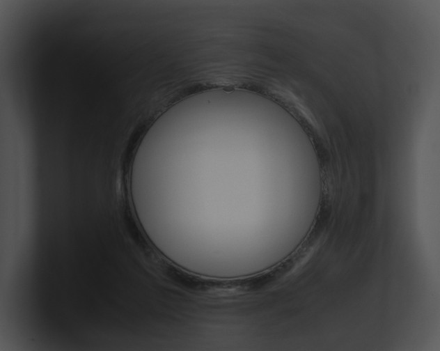 X0000100950213200806241129