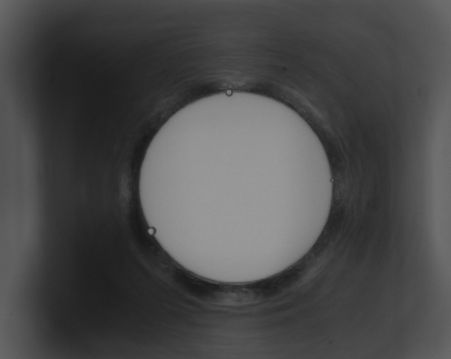 X0000100950215200806241129