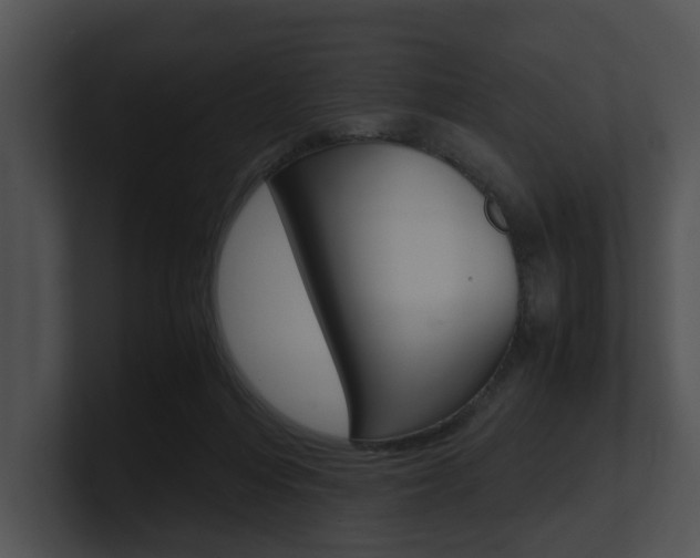 X0000100950216200806241129