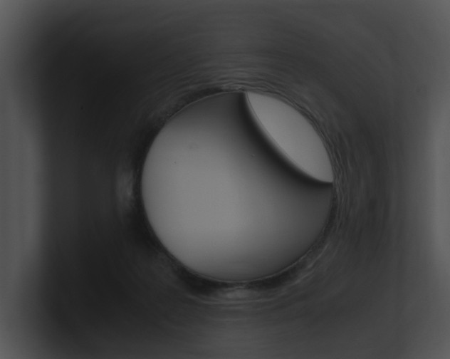 X0000100950219200806241129