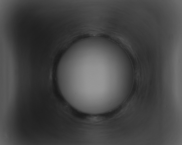 X0000100950221200806241129