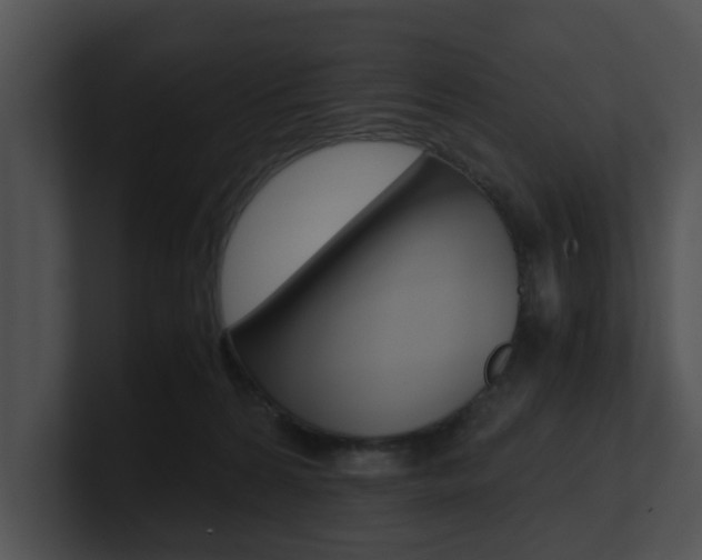 X0000100950224200806241129