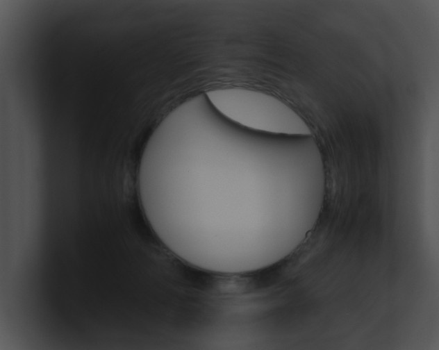 X0000100950226200806241129