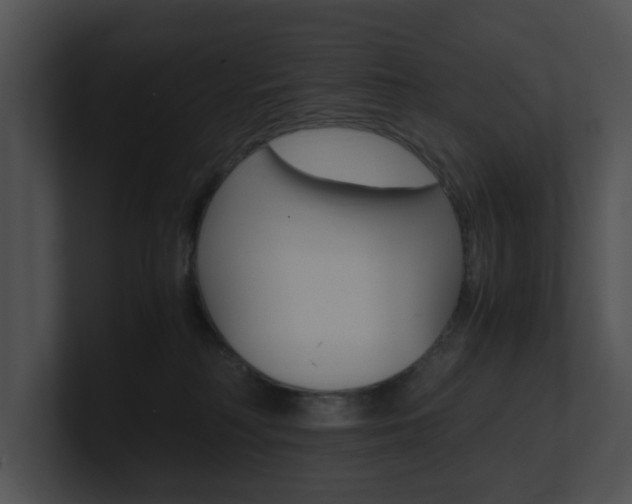 X0000100950230200806241129