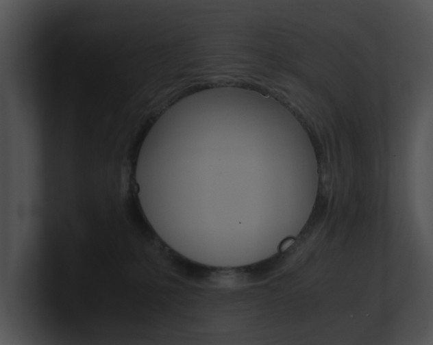 X0000100950231200806241129