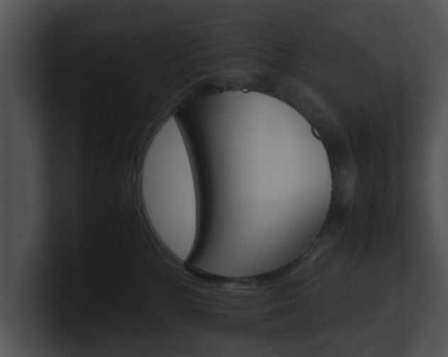 X0000100950232200806241129