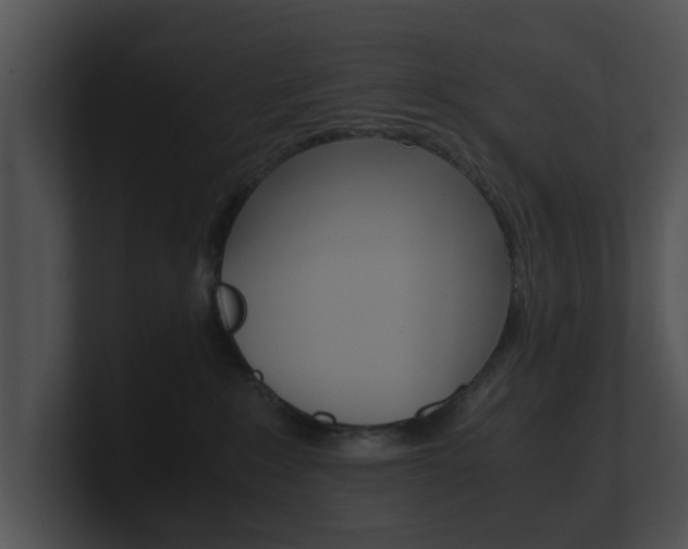 X0000100950235200806241129
