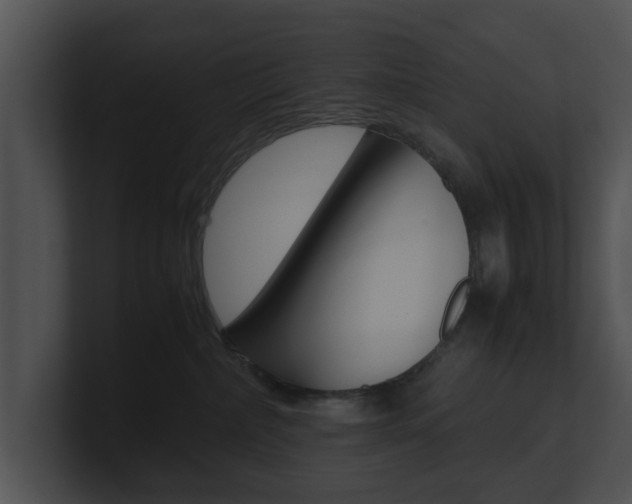 X0000100950236200806241129