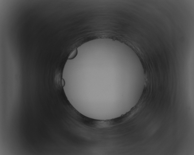 X0000100950238200806241129