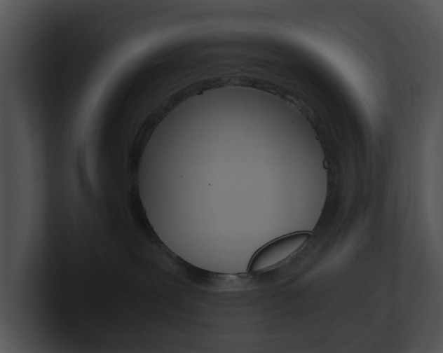 X0000100950239200806241129
