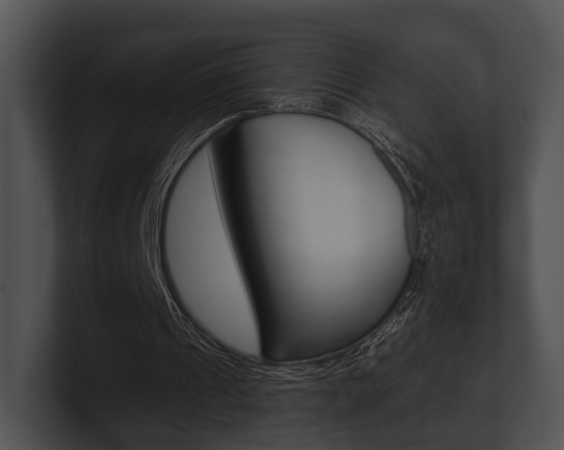 X0000100950241200806241128