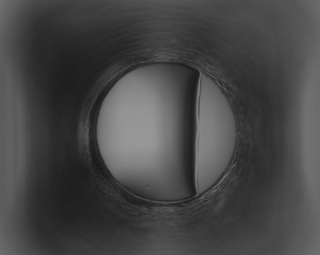 X0000100950242200806241128