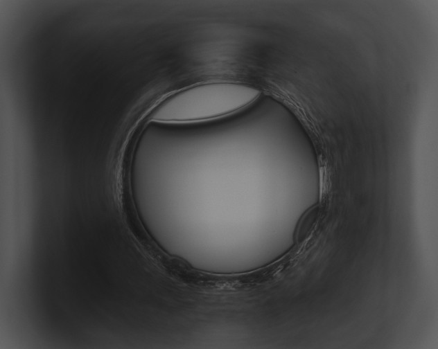 X0000100950243200806241128