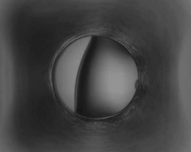 X0000100950244200806241128