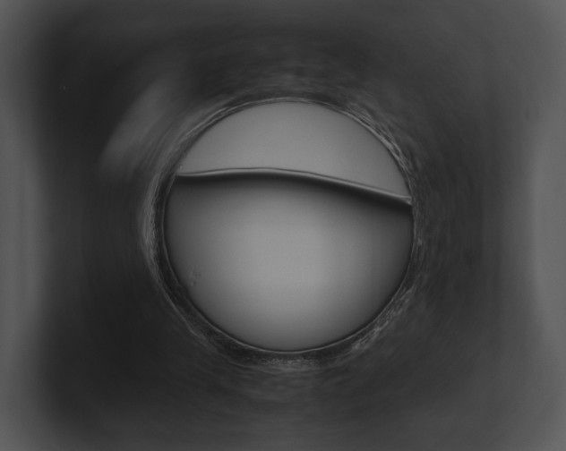 X0000100950245200806241128
