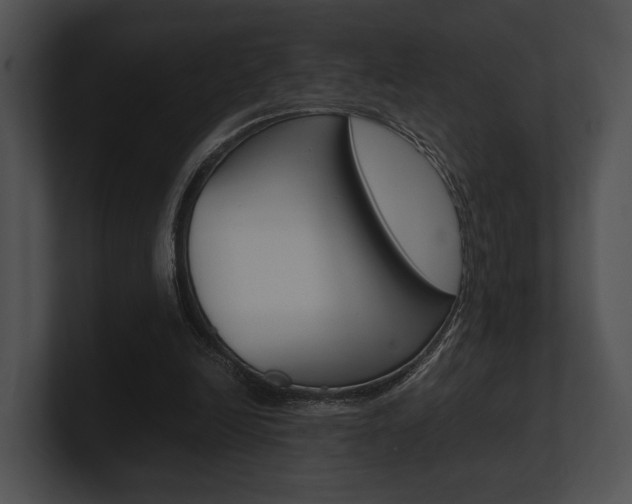 X0000100950246200806241128