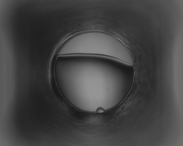 X0000100950248200806241129