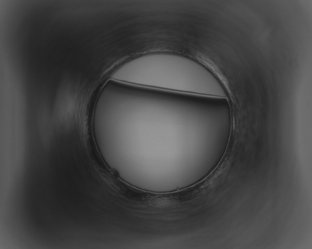 X0000100950249200806241129