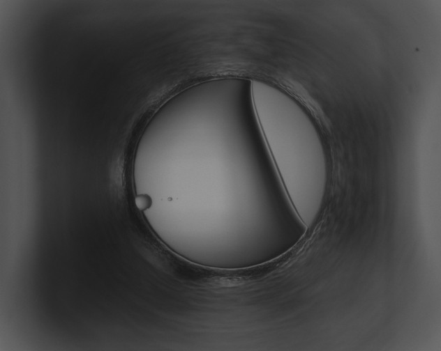 X0000100950250200806241129
