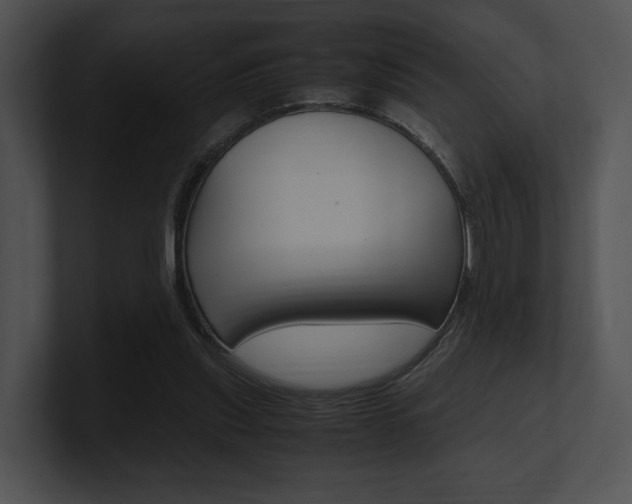 X0000100950253200806241129