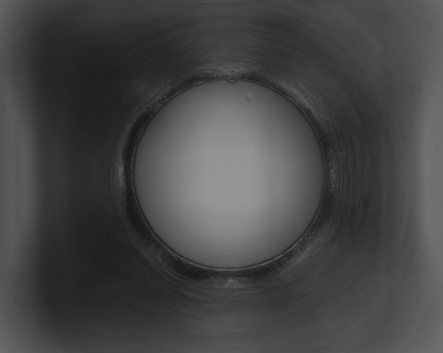 X0000100950254200806241129