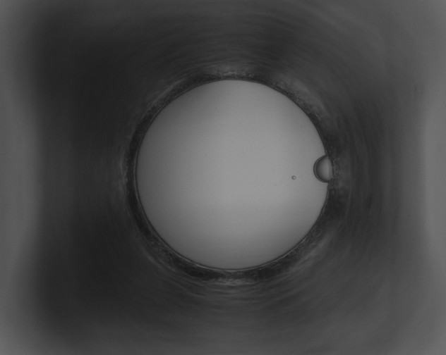 X0000100950255200806241129