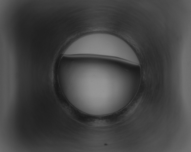 X0000100950256200806241129