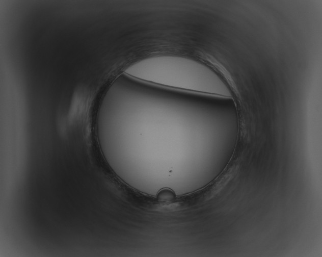 X0000100950257200806241129