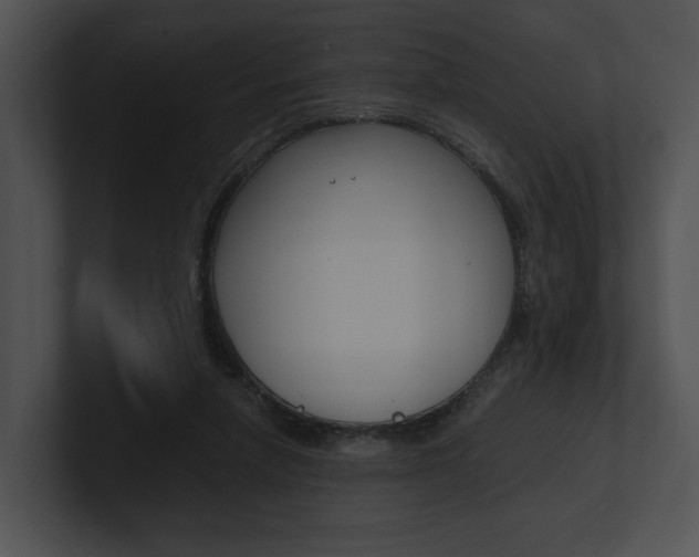 X0000100950258200806241129