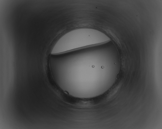 X0000100950260200806241129