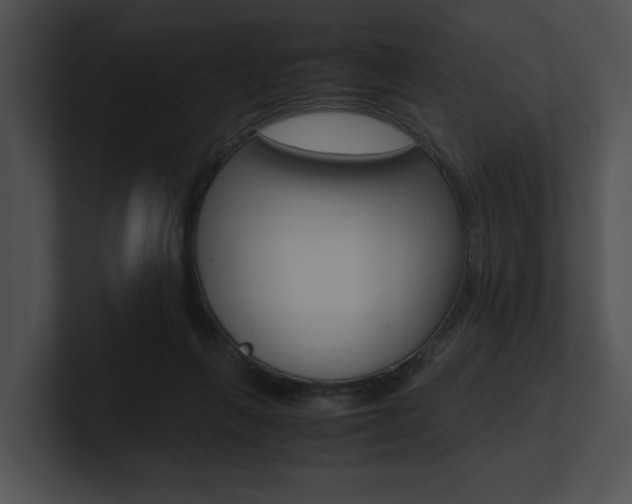 X0000100950263200806241129