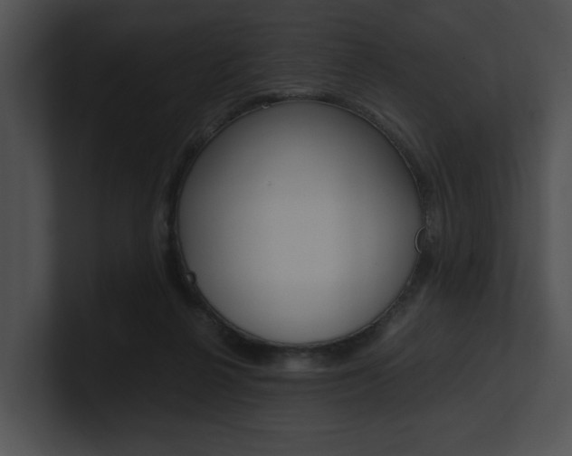 X0000100950264200806241129