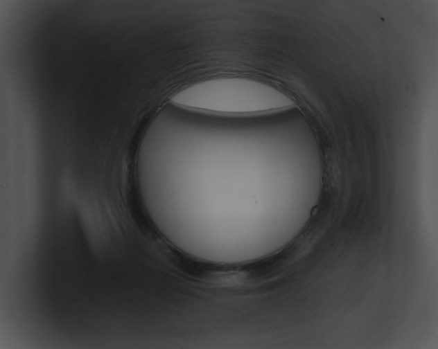 X0000100950266200806241129