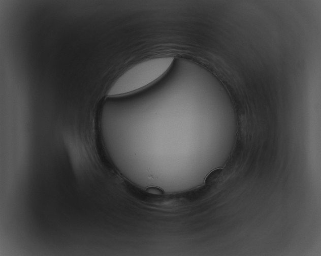 X0000100950267200806241129