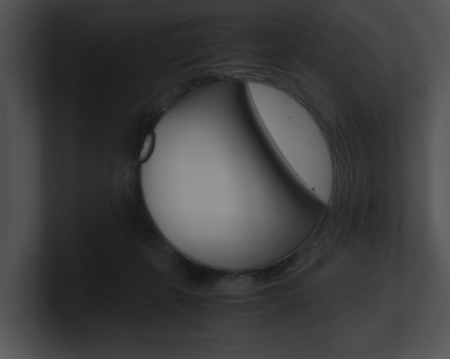 X0000100950271200806241129