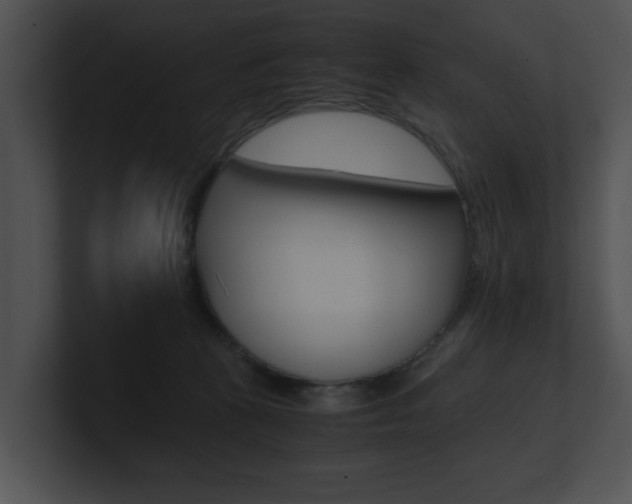 X0000100950273200806241129