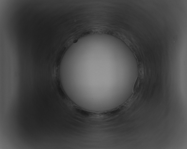X0000100950276200806241129