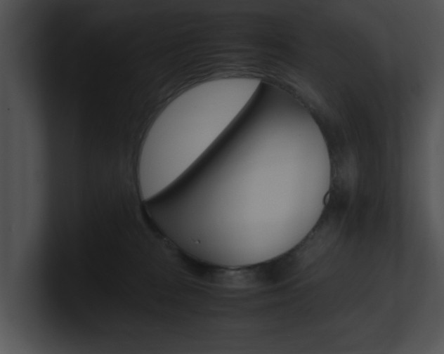 X0000100950277200806241129