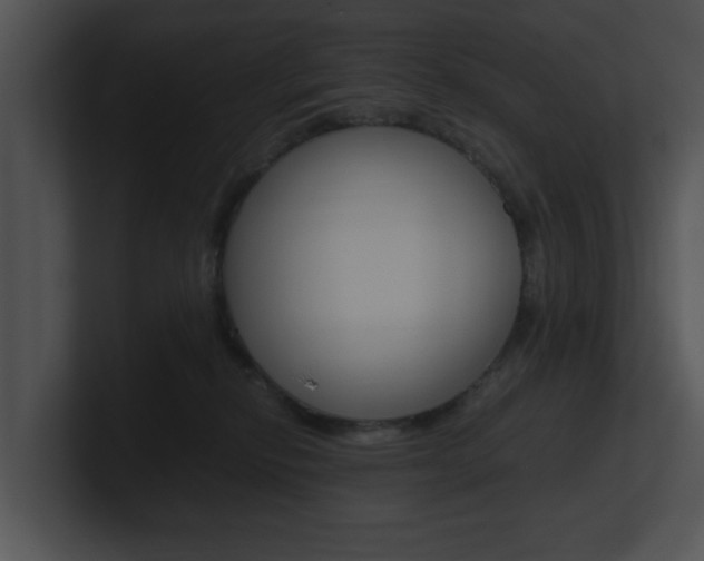 X0000100950278200806241129