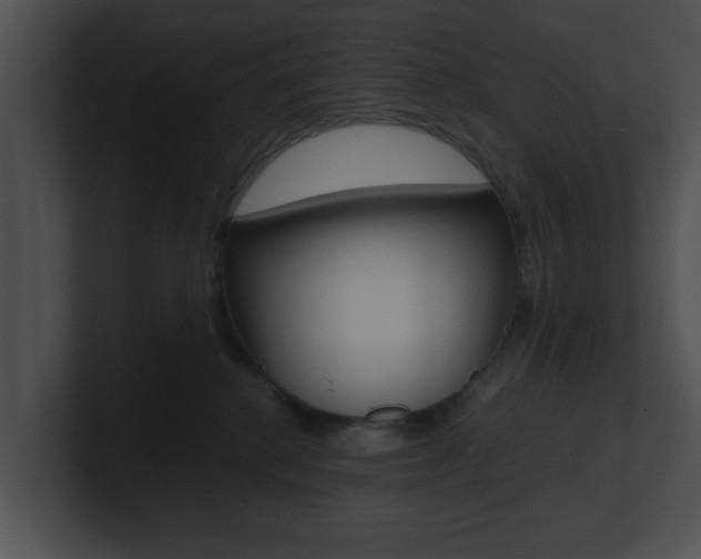 X0000100950280200806241129