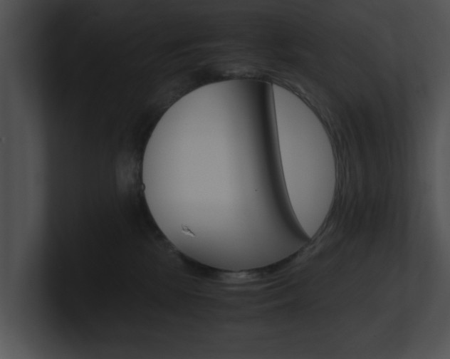 X0000100950281200806241129