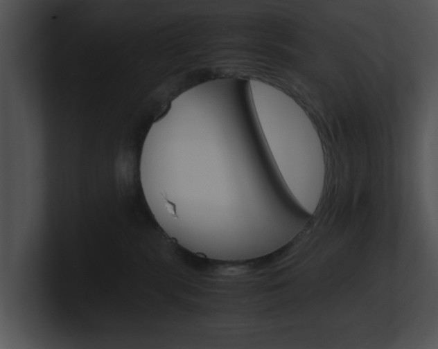 X0000100950283200806241129