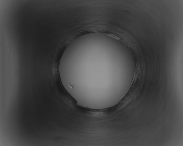 X0000100950284200806241129