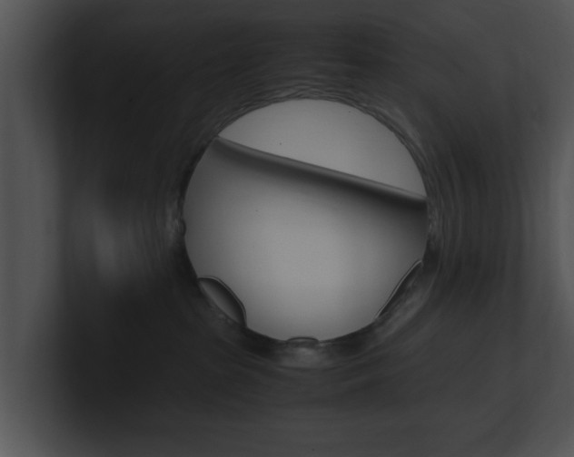 X0000100950285200806241129
