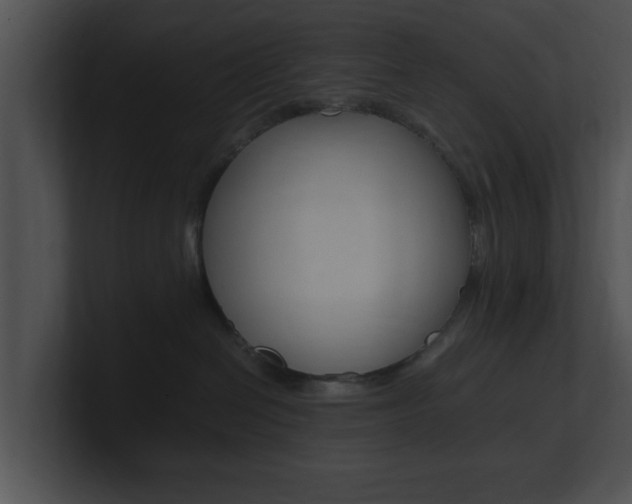 X0000100950286200806241129