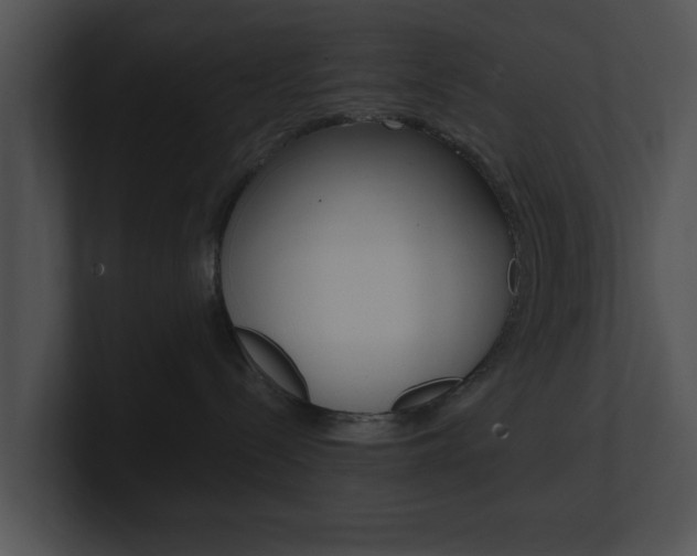 X0000100950288200806241129