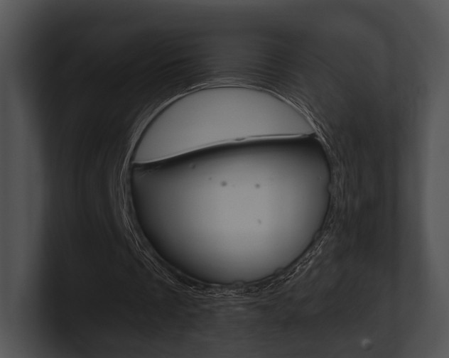 X0000100950289200806241128