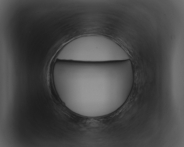 X0000100950290200806241128