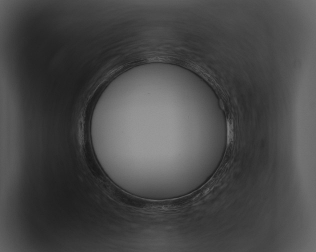X0000100950291200806241128